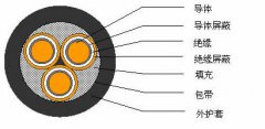 3*2.5，3*3，3*4，3*6，3*10，3*16，3*25屏蔽電纜結(jié)構(gòu)圖